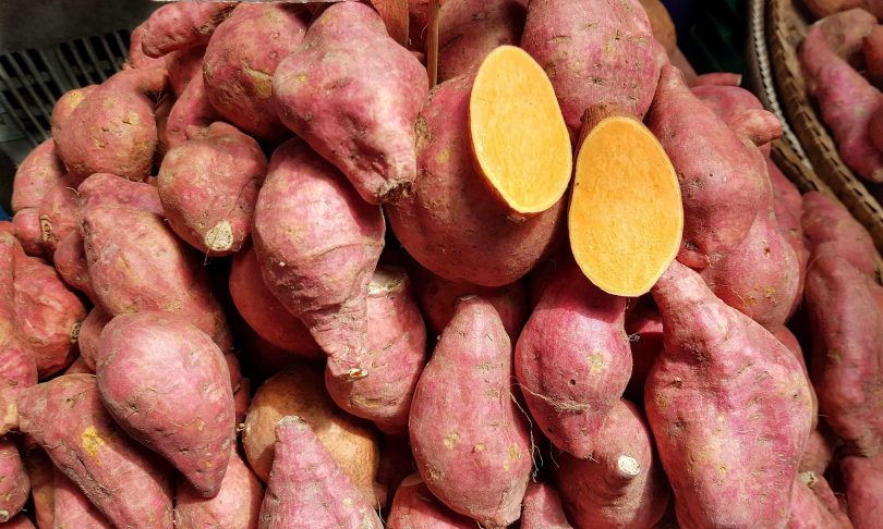 Imagem de uma bancada com muitas batata-doce e sobre elas uma cortada ao meio.