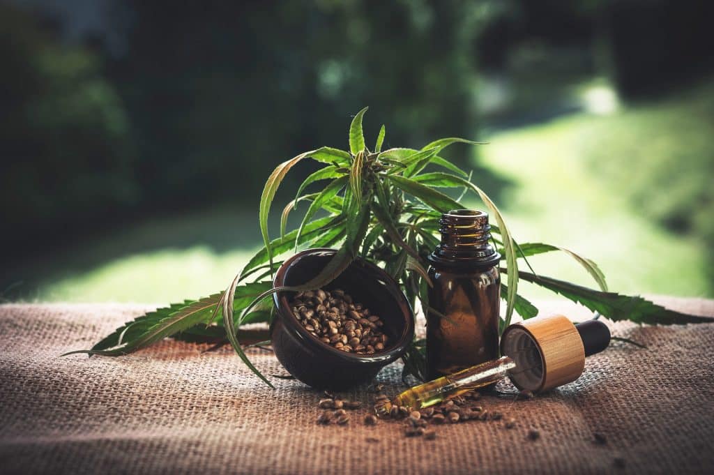 Imagem da erva da maconha natural, disposta sobre uma mesa. Ao lado um pequeno frasco de vidro com um conta gotas. É um remédio feito à base da erva para o covid.