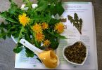Imagem de um livro de ervas para elaborar receitas naturais para dor de garganta. Sobre ele, vários tipos de ervas que servirão de ingredientes para várias receitas.