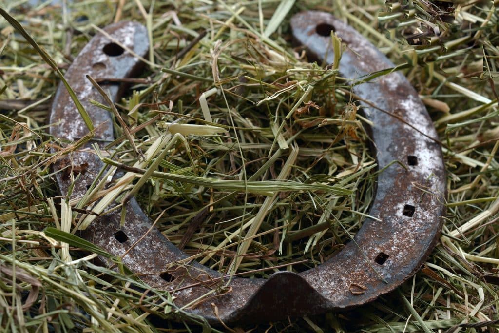 Imagem de um amuleto em formato de ferradura. Ela está osbre um gramado.
