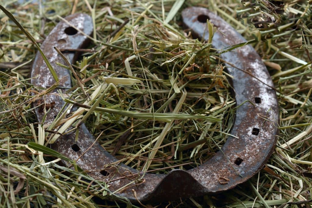Imagem de um amuleto em formato de ferradura. Ela está osbre um gramado.