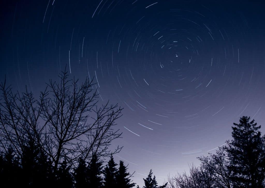 Árvores e um céu estrelado.