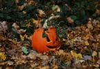 Imagem de uma cabeça de abóbora decorada em e disposta sobre um gramado com folhas de outono. Ela está decorando o jardim para celebrar o dia de Halloween.