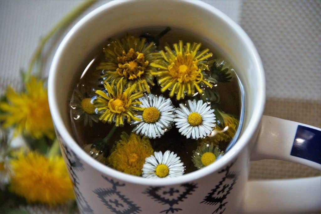 Imagem de um linda caneca branca decorada contendo chá feito com a erva dente de leão, próprio para ajudar no processo de desintoxicação.
