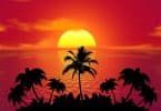 Imagem avermelhada e bem tropical de um lindo por do sol. À frente dele, vários coqueiros complementam a imagem que represanta o solstício de verão.