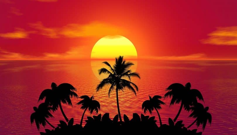 Imagem avermelhada e bem tropical de um lindo por do sol. À frente dele, vários coqueiros complementam a imagem que represanta o solstício de verão.