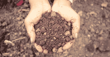 Par de mãos segurando um punhado de terra