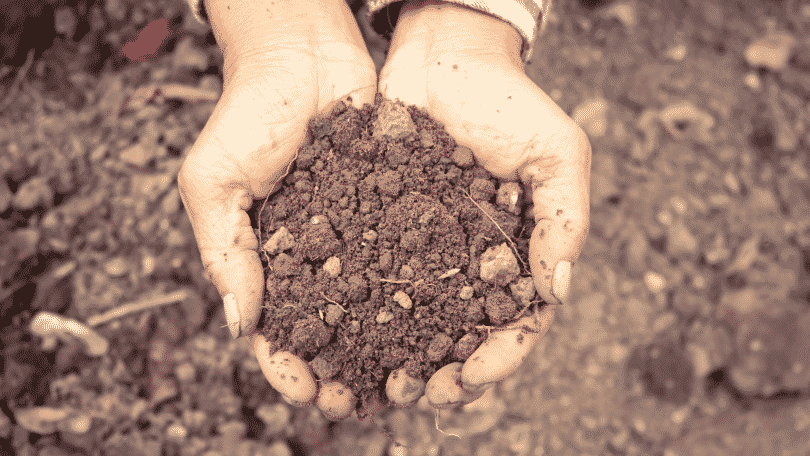 Par de mãos segurando um punhado de terra