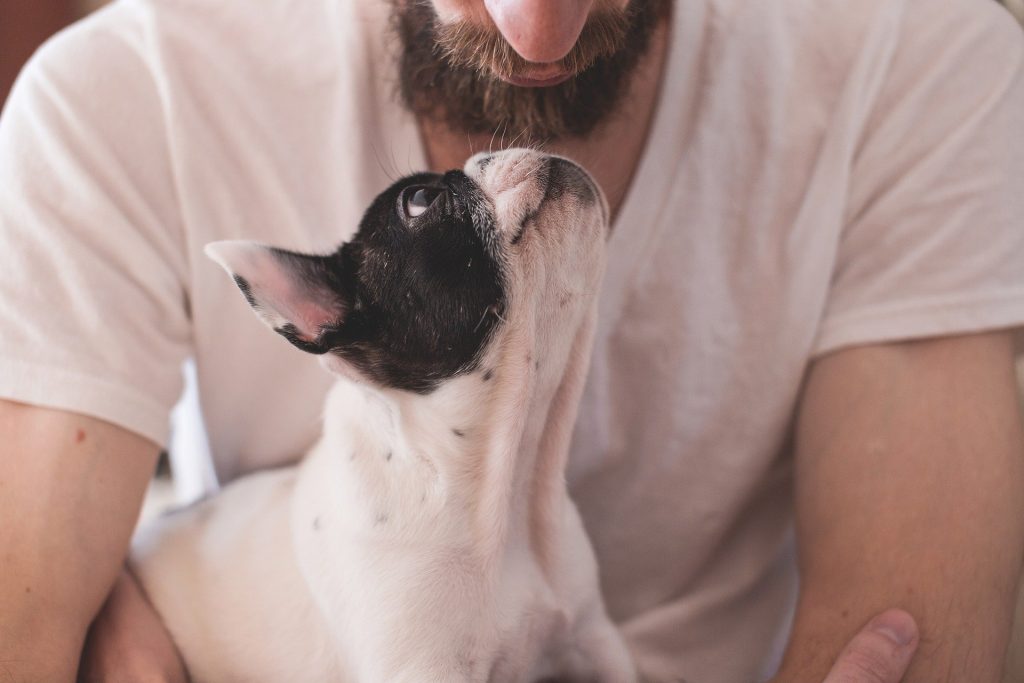 Imagem de um homem usando uma camiseta branca. Ele segura nos braços um cachorro branco com a carinha preta. Ele está demonstrando a relação de amor com o bichinho.