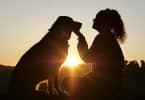 Imagem de um cachorro e sua dona. Ela segura o rosto do cachorro fazendo um afago nele. Ao fundo um lindo por do sol.