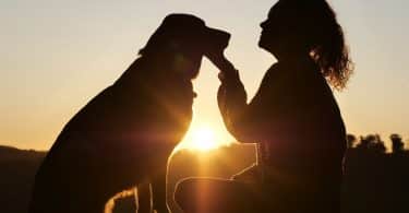 Imagem de um cachorro e sua dona. Ela segura o rosto do cachorro fazendo um afago nele. Ao fundo um lindo por do sol.