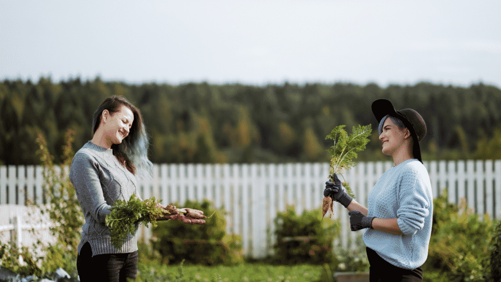 Duas mulheres em uma horta oferecendo hortaliças uma para a outra