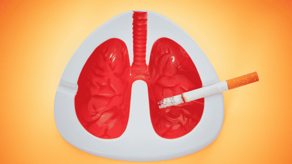 Imagem ilustrativa de um pulmão de plástico e um cigarro ao lado