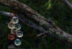 Imagem de vários cristais multifacetados coloridos, presos em um galho de uma árvore.