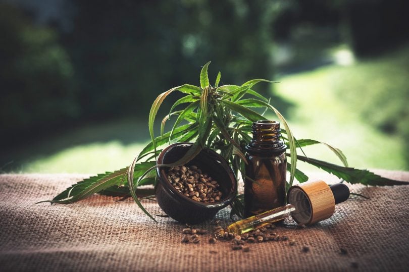 Imagem de folhas da maconha sobre uma mesa forrada com tecido de juta. Ao lado um pequeno vidro e um conta gostas. Dentro do vidro existe o óleo da maconha.