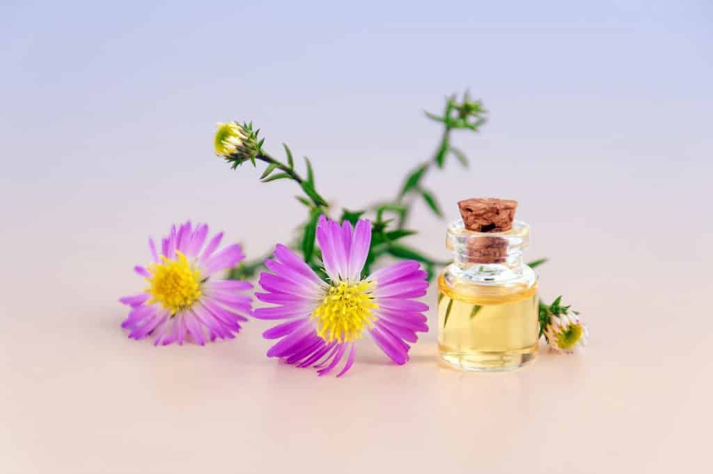 Imagem com lindas flores nas cores roxa e branca com miolo amarelo. Ao lado um pequeno frasco de vidro contendo óleo essencial.