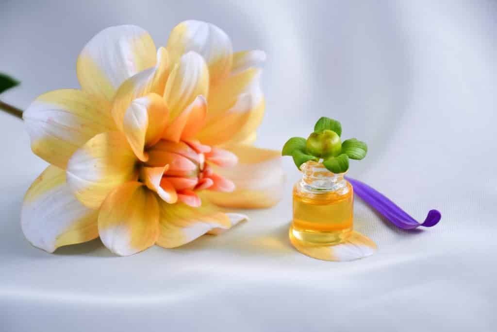 Imagem de uma linda flor nas cores laranja e branco. Ao lado dela um pequeno vidro contendo óleo essencial.