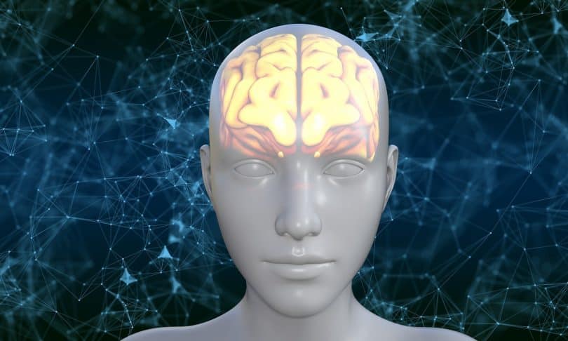 Imagem do rosto de um avatar humano onde parte da cabeça dele está iluminada mostrando o cérebro.