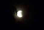 Imagem do eclipse lunar total e ao lado dele uma grande árvore cobrindo uma parte da lua.