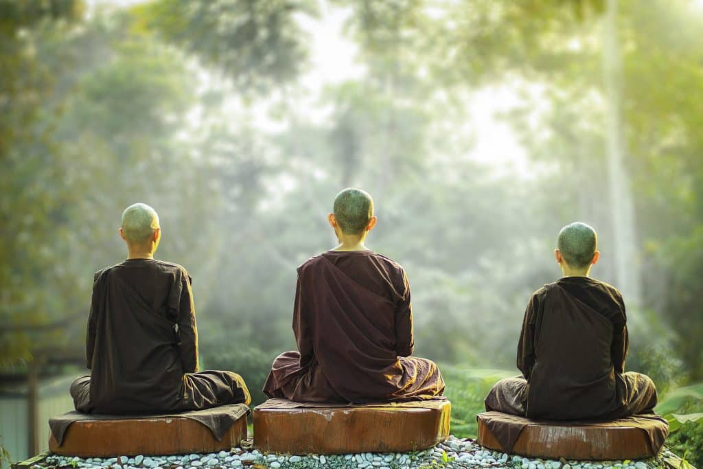 Imagem de três homens carecas, sentados de costas em um tronco de árvore meditando de frente para uma floresta. Os três usam uma túnica na cor marrom.