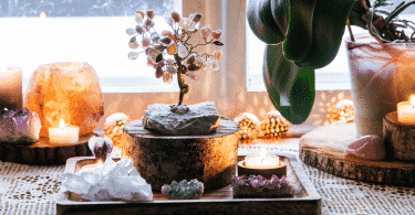 Elementos de plantas e rochas que trazem energias positivas para a casa