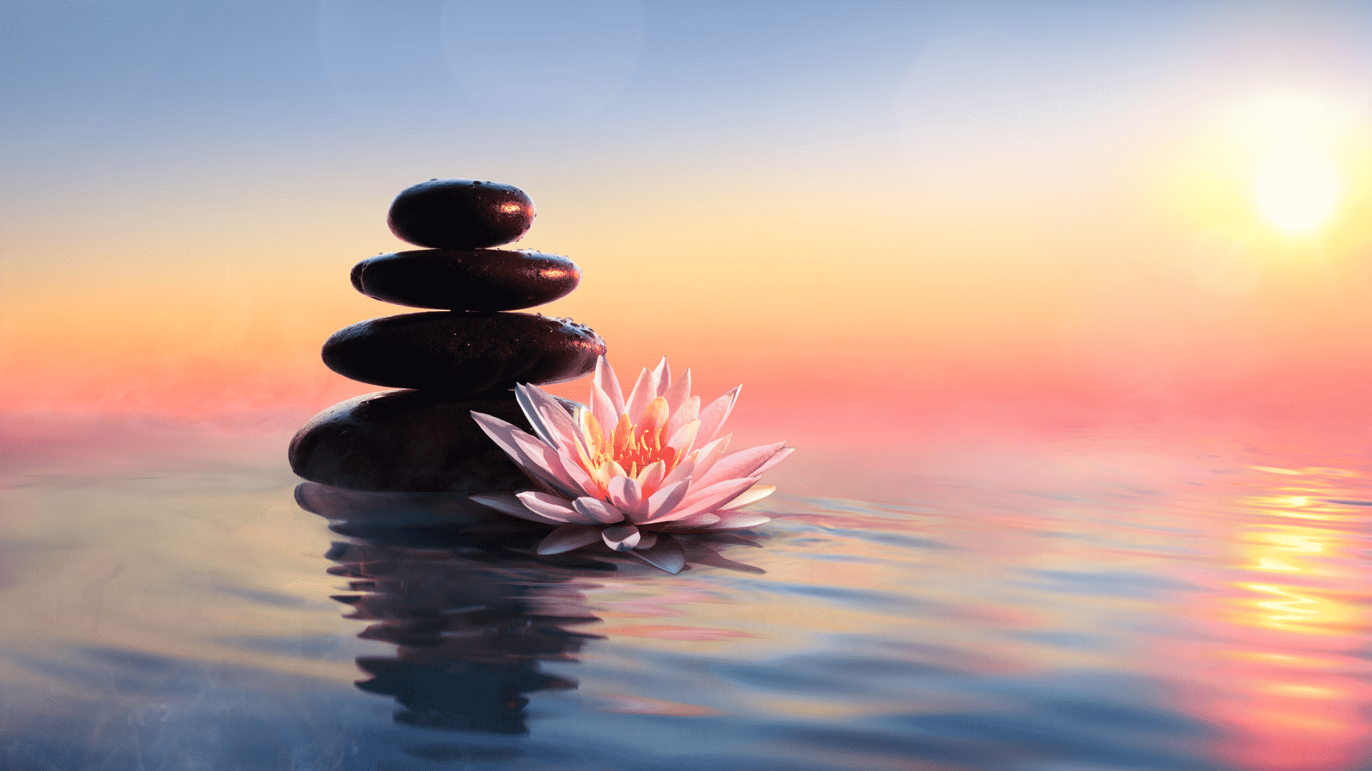 Pedras de massagem empilhadas junto uma flor de lótus sobre as águas