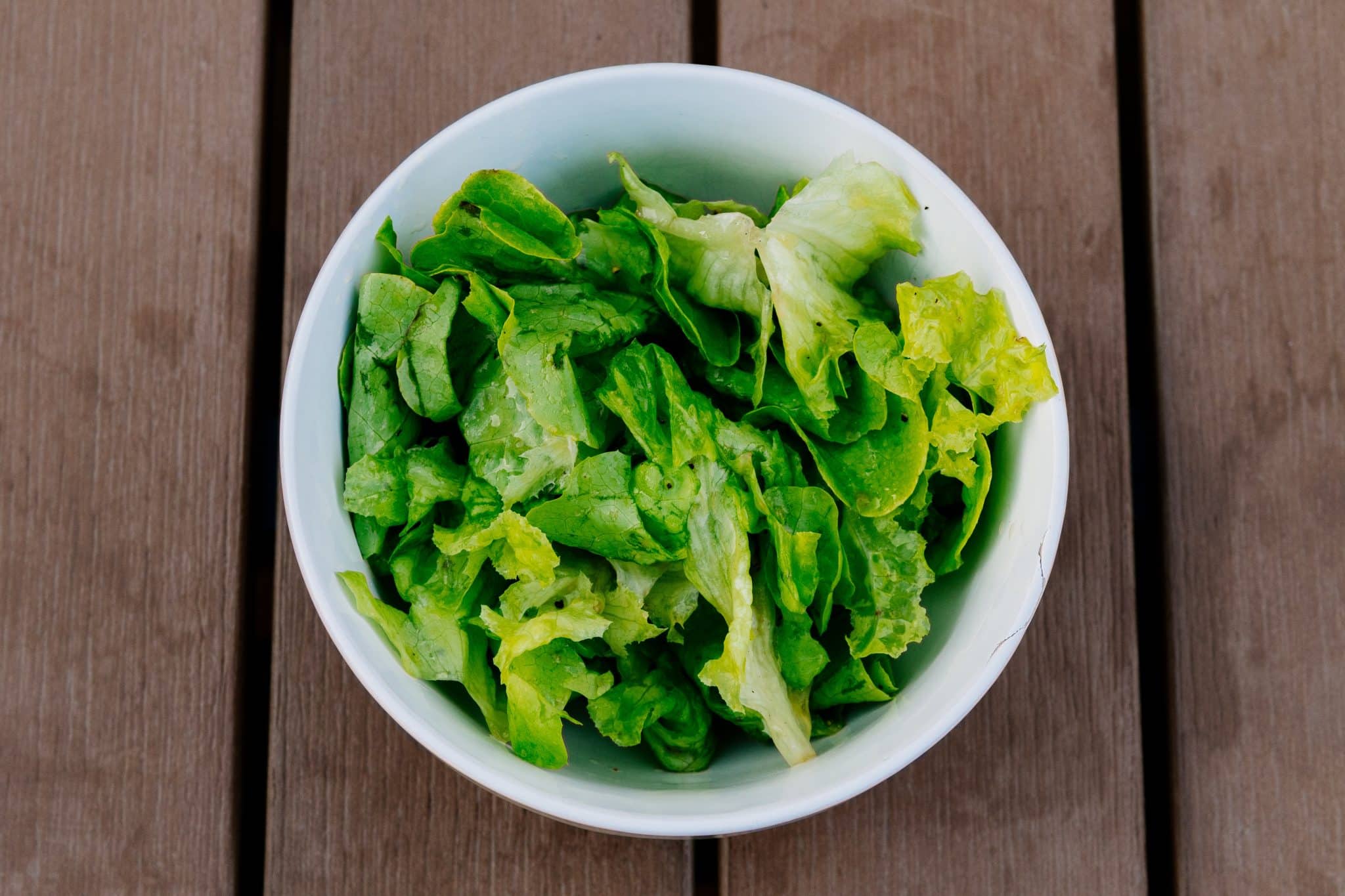 Prato com salada verde