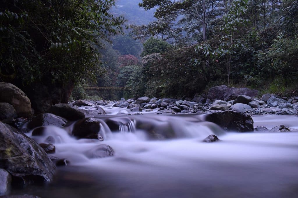 Imagem de um lindo rio no meio de uma floresta com muitas árvores e pedras, representando a segunda dimensão espiritual formada pelo reino vegetal e animal.
