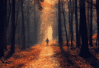 Homem caminhando na floresta
