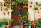 Fachada de casa com muitas plantas