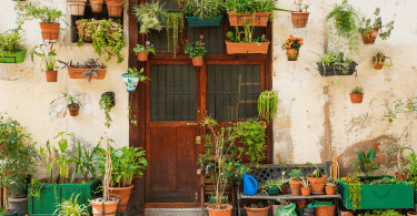 Fachada de casa com muitas plantas