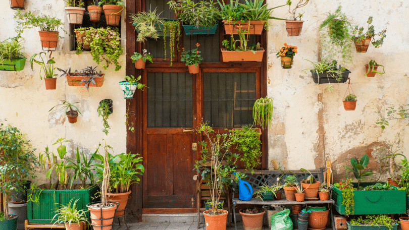 Fachada de casa com muitas plantas