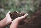 Mãos brancas segurando terra formando coração.