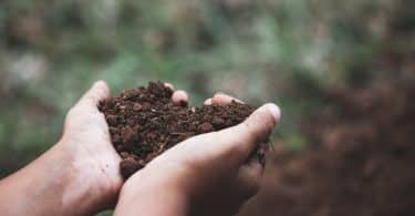 Mãos brancas segurando terra formando coração.