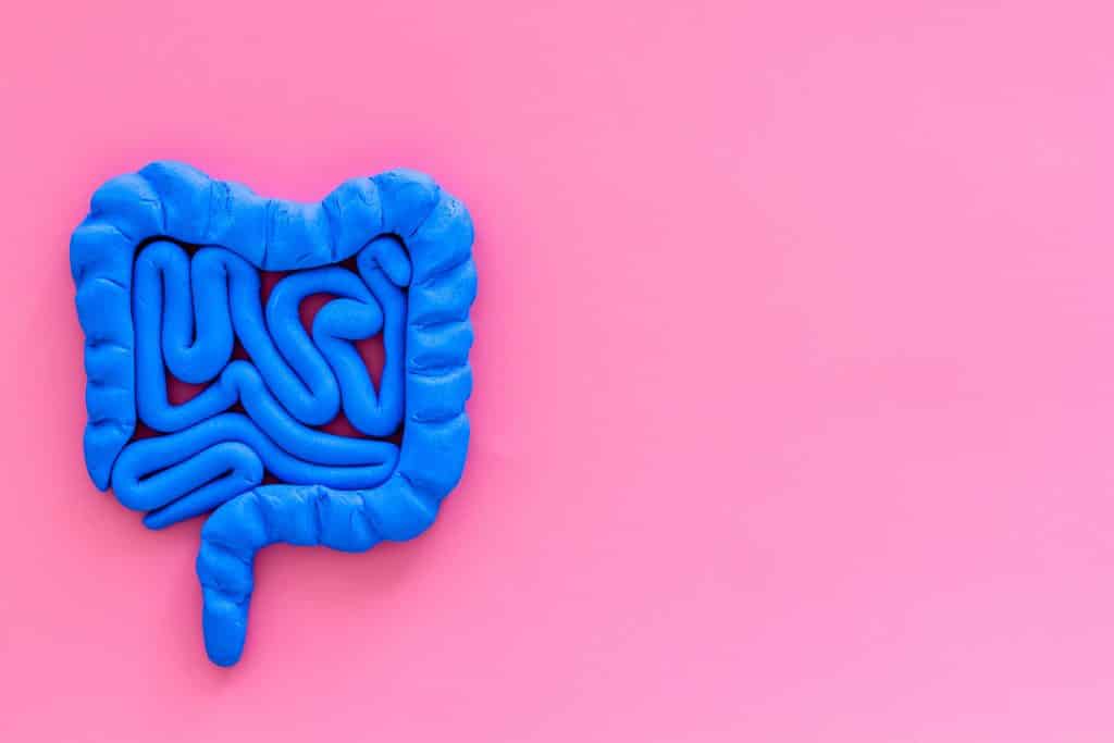 Representação de intestino sobre fundo rosa.