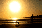 Silhueta de homem e cachorro correndo na praia durante o por do sol