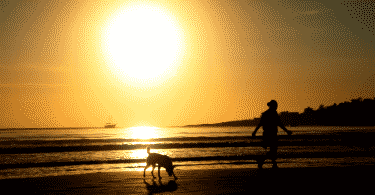 Silhueta de homem e cachorro correndo na praia durante o por do sol