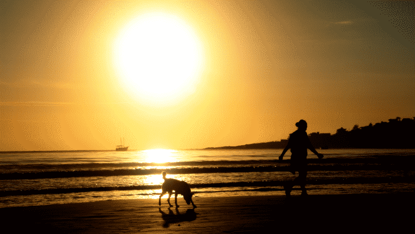 Silhueta de homem e cachorro correndo na praia durante o por do sol