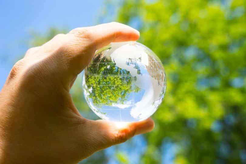 Mão branca segurando globo transparente em frente a árvores.