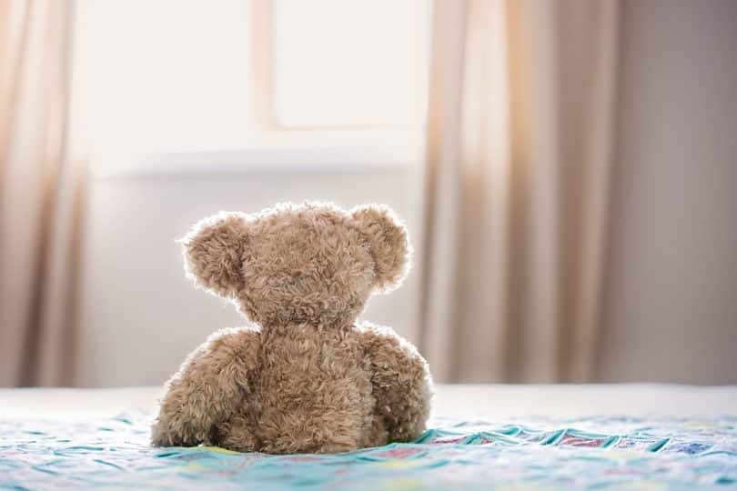 Urso de pelúcia em cima de uma cama de frente para uma janela iluminada
