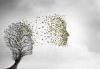 Rosto humano formado por folhas saindo de uma árvore, dando referência à vida após a morte