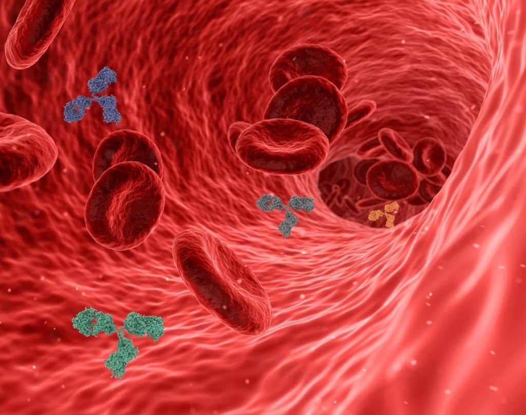 Ilustração de anticorpos