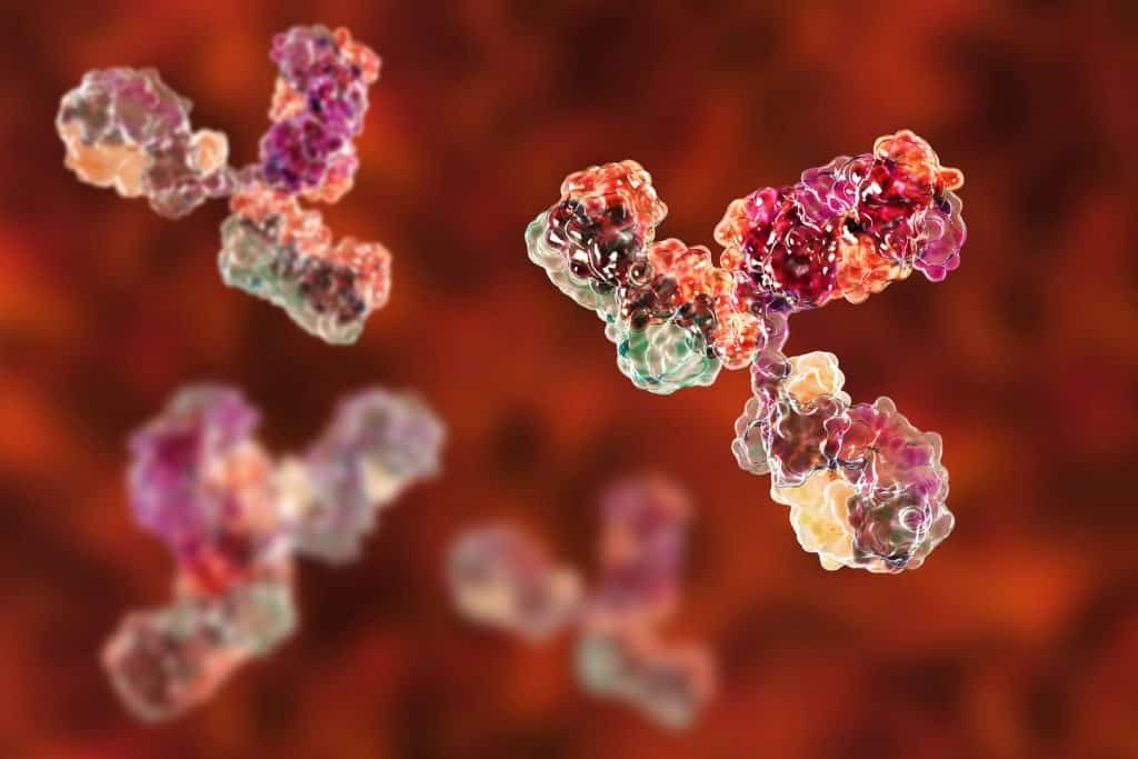 Modelo molecular de anticorpos que participam da defesa imunológica. Molécula de imunoglobulina, ilustração 3D