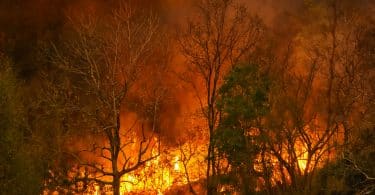 Desastre de incêndio em floresta tropical está queimando causado por humanos