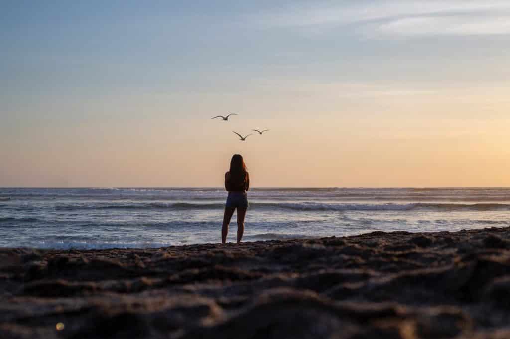 Silhueta de uma mulher em frente ao mar olhando os pássaros voarem.