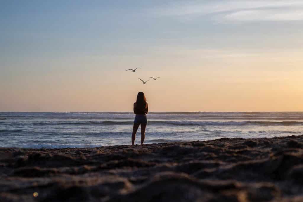 Silhueta de uma mulher em frente ao mar olhando os pássaros voarem.