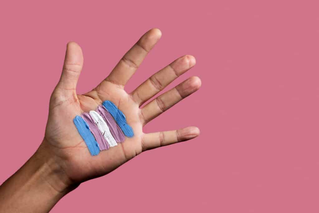 Bandeira trans pintada na palma de uma mão