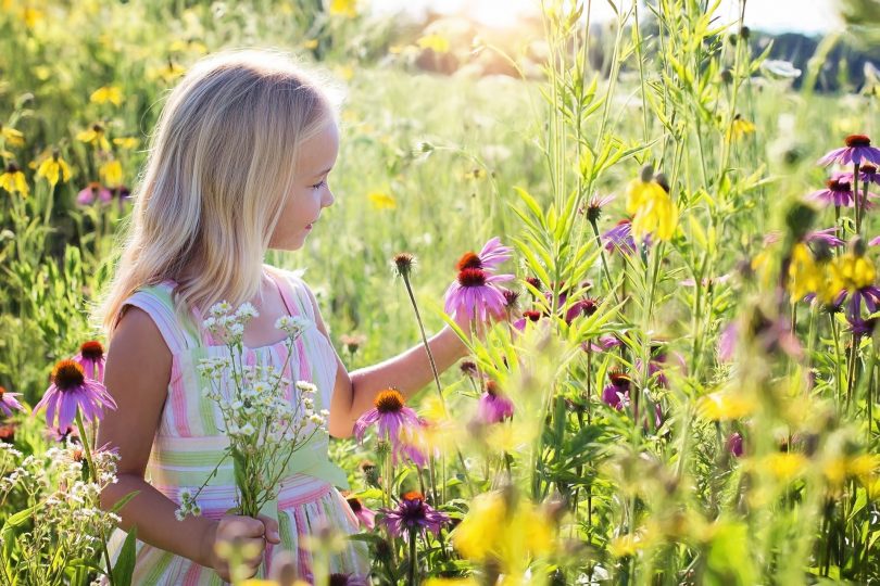 Uma garota branca de cabelos loiros em meio a um campo florido. Ela segura uma flor