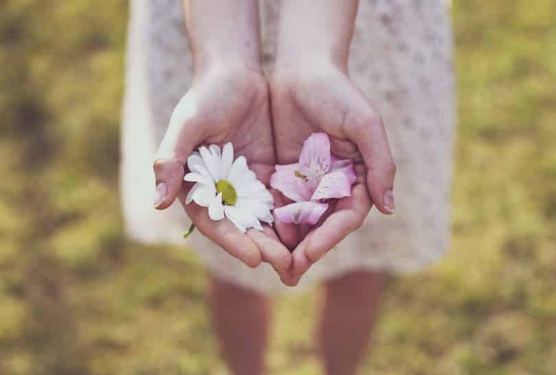 Mãos brancas segurando flores.