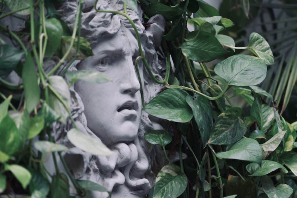 Estátua da medusa entre plantas.